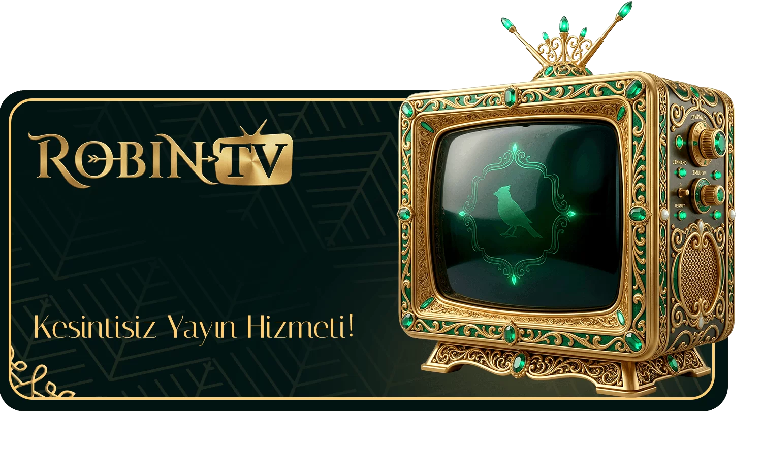 Robin TV — Kesintisiz yayın hizmeti